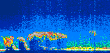 /calipso-imagery/data/BROWSE/production/V5-00/2015-07-08/2015-07-08_00-46-40_V5.00_1_thmb.png image missing