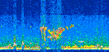 /calipso-imagery/data/BROWSE/production/V5-00/2015-07-08/2015-07-08_00-46-40_V5.00_2_thmb.png image missing
