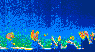 /calipso-imagery/data/BROWSE/production/V5-00/2015-07-08/2015-07-08_00-46-40_V5.00_4_thmb.png image missing