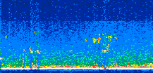 /calipso-imagery/data/BROWSE/production/V5-00/2015-07-08/2015-07-08_02-25-35_V5.00_2_thmb.png image missing