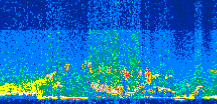 /calipso-imagery/data/BROWSE/production/V5-00/2015-07-08/2015-07-08_09-01-06_V5.00_3_thmb.png image missing