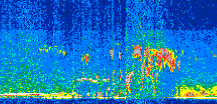 /calipso-imagery/data/BROWSE/production/V5-00/2015-07-08/2015-07-08_18-54-23_V5.00_2_thmb.png image missing