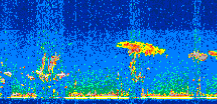 /calipso-imagery/data/BROWSE/production/V5-00/2015-07-13/2015-07-13_02-43-46_V5.00_2_thmb.png image missing