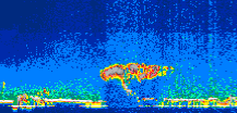/calipso-imagery/data/BROWSE/production/V5-00/2015-07-14/2015-07-14_10-02-30_V5.00_1_thmb.png image missing