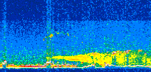 /calipso-imagery/data/BROWSE/production/V5-00/2015-07-14/2015-07-14_10-02-30_V5.00_2_thmb.png image missing