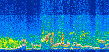 /calipso-imagery/data/BROWSE/production/V5-00/2015-07-14/2015-07-14_10-02-30_V5.00_3_thmb.png image missing