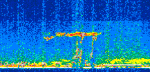 /calipso-imagery/data/BROWSE/production/V5-00/2015-07-14/2015-07-14_14-59-06_V5.00_2_thmb.png image missing