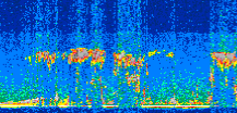 /calipso-imagery/data/BROWSE/production/V5-00/2015-07-27/2015-07-27_02-55-05_V5.00_2_thmb.png image missing