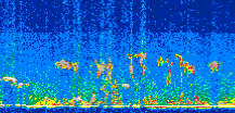 /calipso-imagery/data/BROWSE/production/V5-00/2015-07-27/2015-07-27_04-34-01_V5.00_2_thmb.png image missing
