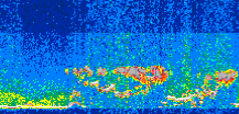 /calipso-imagery/data/BROWSE/production/V5-00/2015-07-27/2015-07-27_11-09-31_V5.00_3_thmb.png image missing
