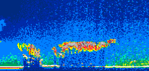 /calipso-imagery/data/BROWSE/production/V5-00/2015-07-27/2015-07-27_17-45-02_V5.00_1_thmb.png image missing