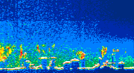 /calipso-imagery/data/BROWSE/production/V5-00/2015-07-27/2015-07-27_17-45-02_V5.00_4_thmb.png image missing