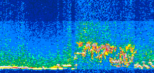 /calipso-imagery/data/BROWSE/production/V5-00/2015-07-27/2015-07-27_21-02-48_V5.00_3_thmb.png image missing