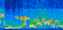 /calipso-imagery/data/BROWSE/production/V5-00/2015-07-29/2015-07-29_02-42-37_V5.00_3_thmb.png image missing