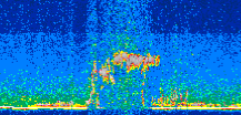 /calipso-imagery/data/BROWSE/production/V5-00/2015-07-29/2015-07-29_04-21-32_V5.00_2_thmb.png image missing