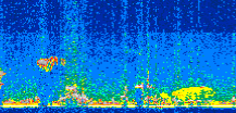 /calipso-imagery/data/BROWSE/production/V5-00/2015-07-29/2015-07-29_15-53-43_V5.00_2_thmb.png image missing