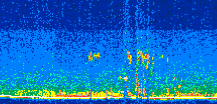 /calipso-imagery/data/BROWSE/production/V5-00/2015-08-01/2015-08-01_04-52-16_V5.00_2_thmb.png image missing