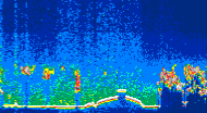 /calipso-imagery/data/BROWSE/production/V5-00/2015-08-01/2015-08-01_06-31-07_V5.00_4_thmb.png image missing