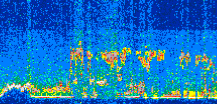 /calipso-imagery/data/BROWSE/production/V5-00/2015-08-01/2015-08-01_18-03-18_V5.00_2_thmb.png image missing