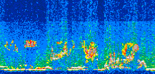 /calipso-imagery/data/BROWSE/production/V5-00/2015-08-01/2015-08-01_21-21-04_V5.00_3_thmb.png image missing