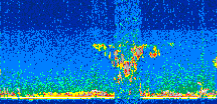 /calipso-imagery/data/BROWSE/production/V5-00/2015-08-01/2015-08-01_22-59-59_V5.00_2_thmb.png image missing
