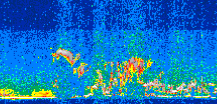 /calipso-imagery/data/BROWSE/production/V5-00/2015-08-03/2015-08-03_04-39-48_V5.00_3_thmb.png image missing