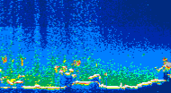 /calipso-imagery/data/BROWSE/production/V5-00/2015-08-03/2015-08-03_07-57-33_V5.00_4_thmb.png image missing