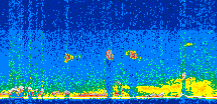 /calipso-imagery/data/BROWSE/production/V5-00/2015-08-03/2015-08-03_09-36-28_V5.00_2_thmb.png image missing