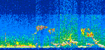 /calipso-imagery/data/BROWSE/production/V5-00/2015-08-03/2015-08-03_16-11-59_V5.00_3_thmb.png image missing