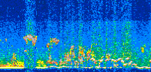/calipso-imagery/data/BROWSE/production/V5-00/2015-08-03/2015-08-03_17-50-49_V5.00_3_thmb.png image missing
