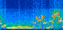 /calipso-imagery/data/BROWSE/production/V5-00/2015-08-03/2015-08-03_22-47-30_V5.00_2_thmb.png image missing