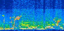 /calipso-imagery/data/BROWSE/production/V5-00/2015-08-04/2015-08-04_02-05-16_V5.00_3_thmb.png image missing