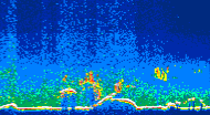/calipso-imagery/data/BROWSE/production/V5-00/2015-08-04/2015-08-04_07-01-51_V5.00_4_thmb.png image missing