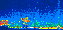 /calipso-imagery/data/BROWSE/production/V5-00/2015-08-04/2015-08-04_08-40-46_V5.00_1_thmb.png image missing