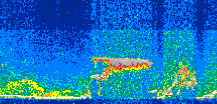 /calipso-imagery/data/BROWSE/production/V5-00/2015-08-04/2015-08-04_11-58-32_V5.00_3_thmb.png image missing