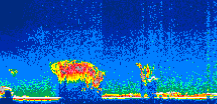 /calipso-imagery/data/BROWSE/production/V5-00/2015-08-04/2015-08-04_13-37-22_V5.00_1_thmb.png image missing