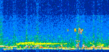 /calipso-imagery/data/BROWSE/production/V5-00/2015-08-04/2015-08-04_15-16-17_V5.00_2_thmb.png image missing