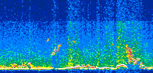 /calipso-imagery/data/BROWSE/production/V5-00/2015-08-04/2015-08-04_15-16-17_V5.00_3_thmb.png image missing