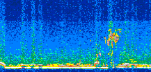 /calipso-imagery/data/BROWSE/production/V5-00/2015-08-04/2015-08-04_21-51-48_V5.00_2_thmb.png image missing