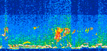/calipso-imagery/data/BROWSE/production/V5-00/2015-08-04/2015-08-04_21-51-48_V5.00_3_thmb.png image missing