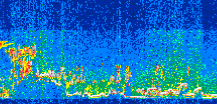 /calipso-imagery/data/BROWSE/production/V5-00/2015-08-06/2015-08-06_06-49-23_V5.00_3_thmb.png image missing