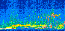 /calipso-imagery/data/BROWSE/production/V5-00/2015-08-06/2015-08-06_13-24-54_V5.00_2_thmb.png image missing