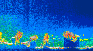 /calipso-imagery/data/BROWSE/production/V5-00/2015-08-06/2015-08-06_13-24-54_V5.00_4_thmb.png image missing