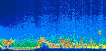 /calipso-imagery/data/BROWSE/production/V5-00/2015-08-06/2015-08-06_15-03-49_V5.00_1_thmb.png image missing
