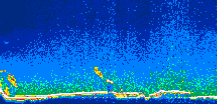 /calipso-imagery/data/BROWSE/production/V5-00/2015-08-07/2015-08-07_04-14-51_V5.00_1_thmb.png image missing