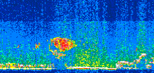 /calipso-imagery/data/BROWSE/production/V5-00/2015-08-07/2015-08-07_22-22-28_V5.00_3_thmb.png image missing