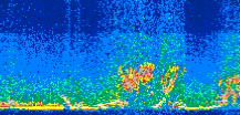 /calipso-imagery/data/BROWSE/production/V5-00/2015-08-08/2015-08-08_00-01-23_V5.00_3_thmb.png image missing