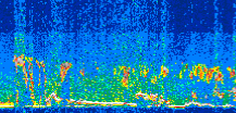 /calipso-imagery/data/BROWSE/production/V5-00/2015-08-08/2015-08-08_01-40-13_V5.00_3_thmb.png image missing