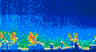 /calipso-imagery/data/BROWSE/production/V5-00/2015-08-08/2015-08-08_01-40-13_V5.00_4_thmb.png image missing