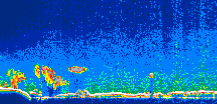/calipso-imagery/data/BROWSE/production/V5-00/2015-08-08/2015-08-08_08-15-44_V5.00_1_thmb.png image missing